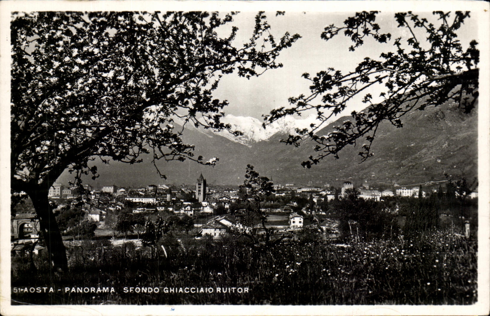 CPA Aosta Panorama Sfondo Ghiacciaio Ruitor