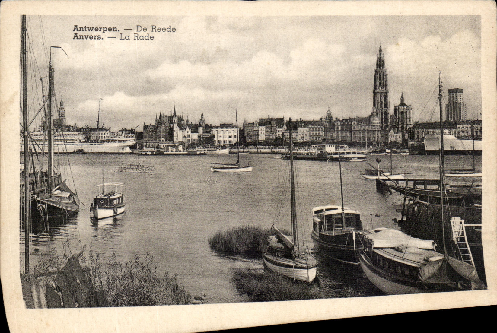 CPA Antwerpen De Reede Anvers La Rade Bateaux
