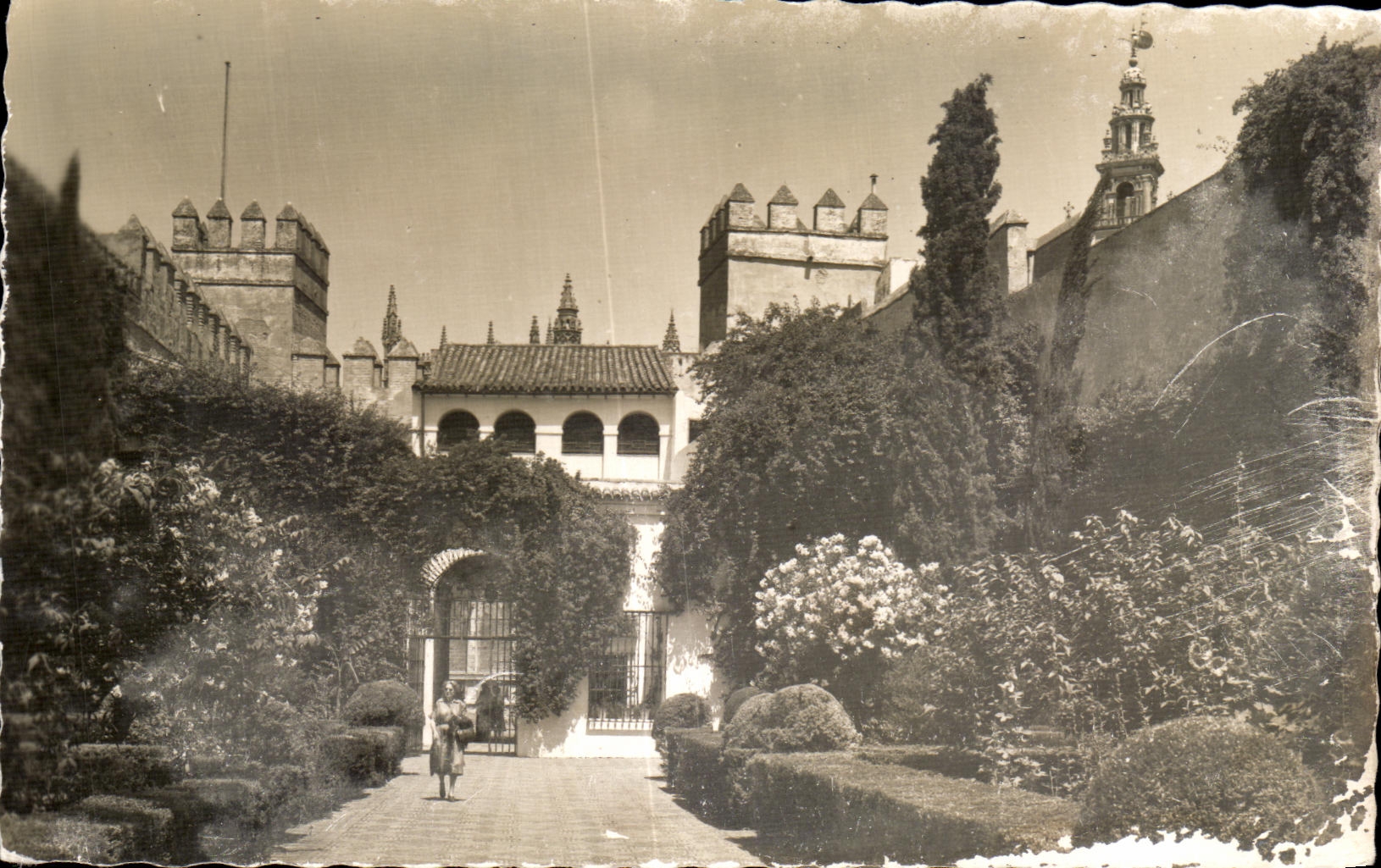 CPA Sevilla Reales Alcazres Patio Del Leon Seville