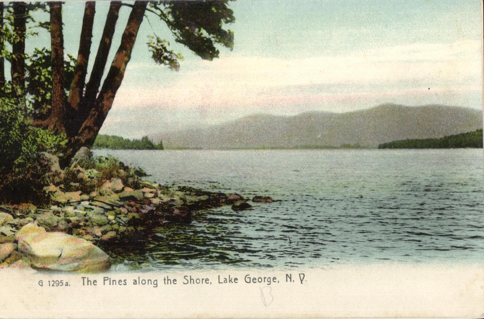 CPA The Pines along the Shore Lake George Lake George NY