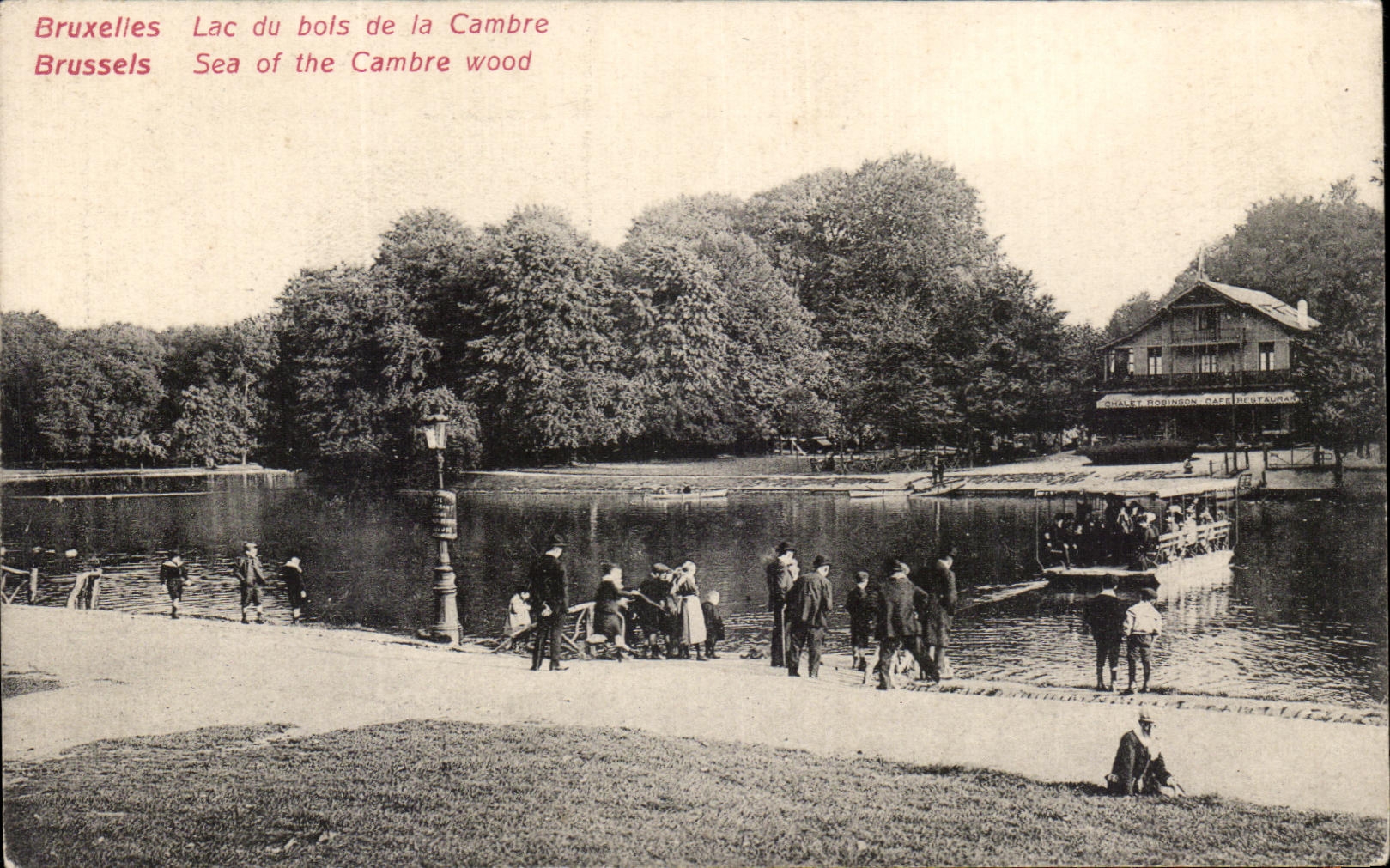 CPA Bruxelles Lac du Bois de la Cambre