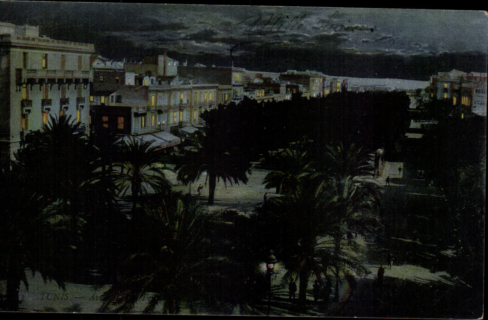 CPA Souvenir Tunis Avenue Jules Ferry Tunisie