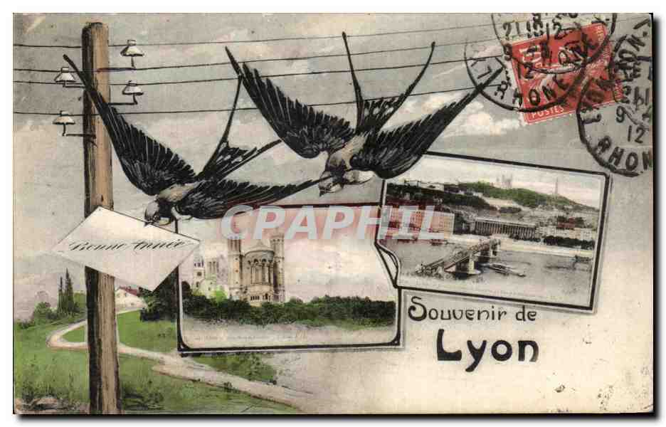 CPA Souvenir de Lyon Hirondelles 