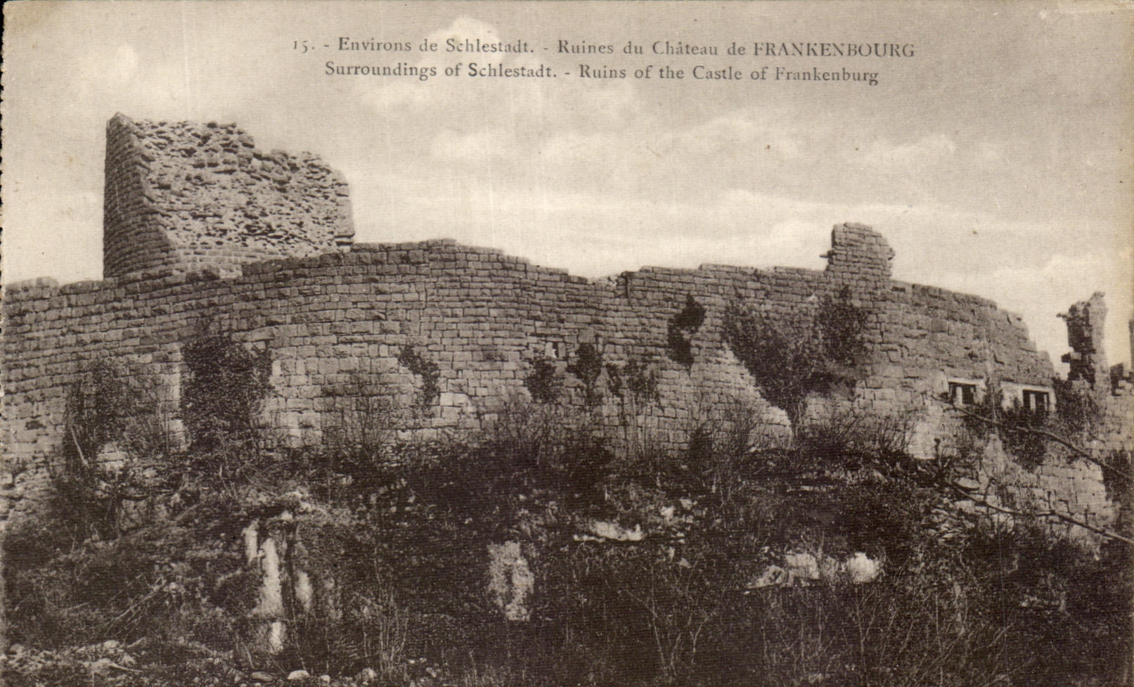 CPA Environs de Schlestadt Ruines du Chateau Frankenbourg 