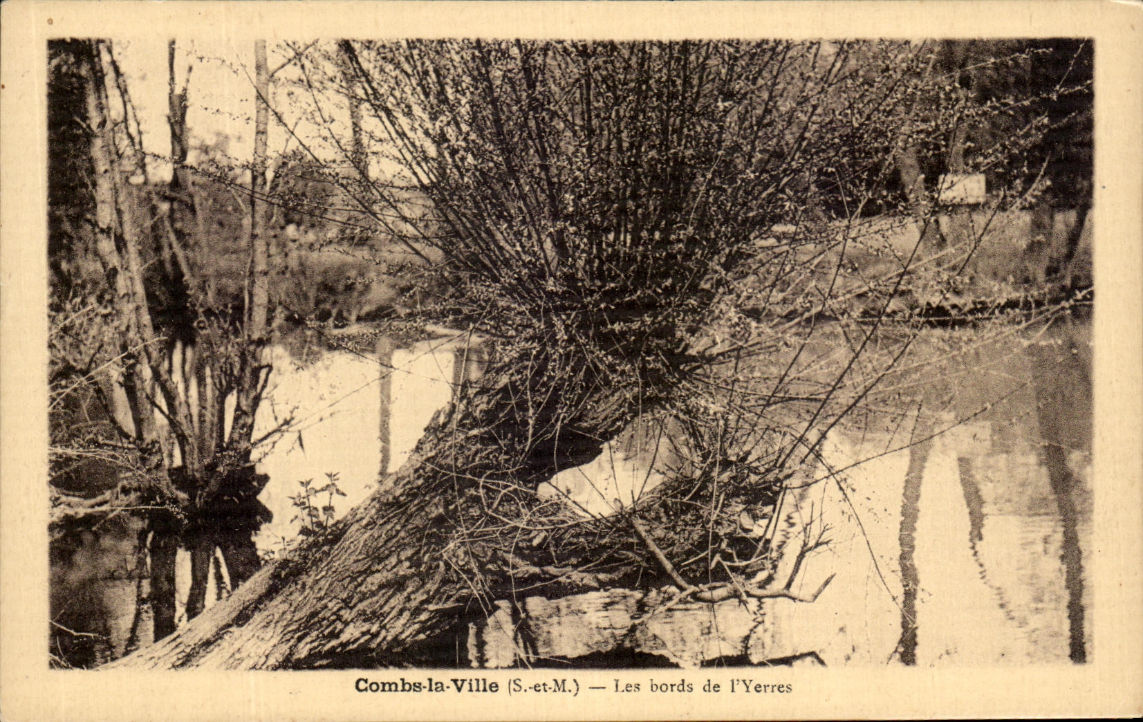 CPA Combs la Ville Les Bords de l'Yerres 