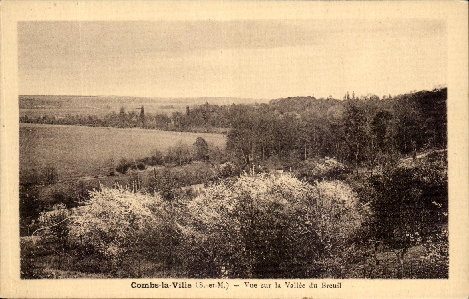 CPA Combs la Ville Vue sur la Vallee du Breuil 
