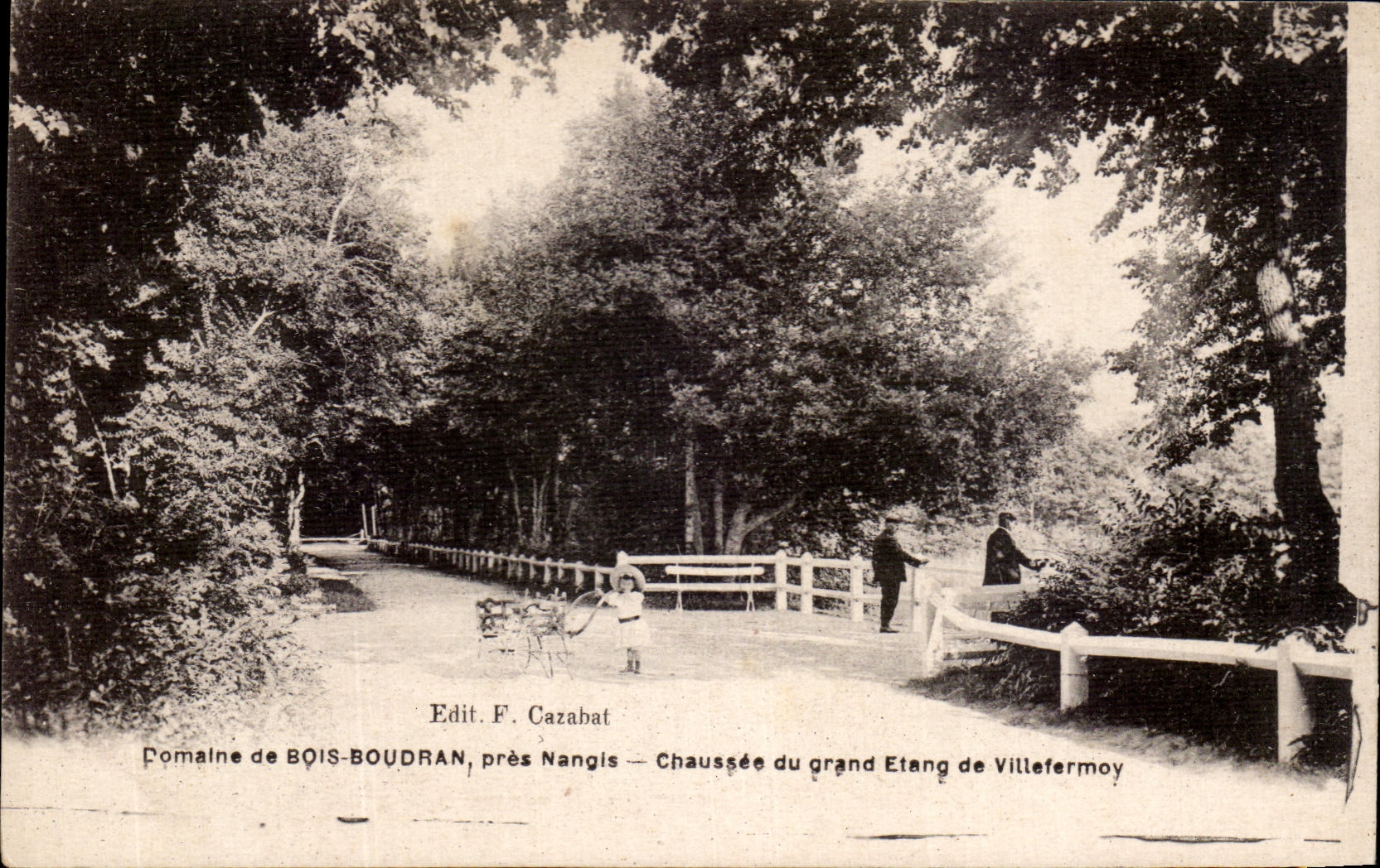 CPA Domaine de Bois Boudran Pres Nangis Chaussee du Grand Etang de Villefermoy 
