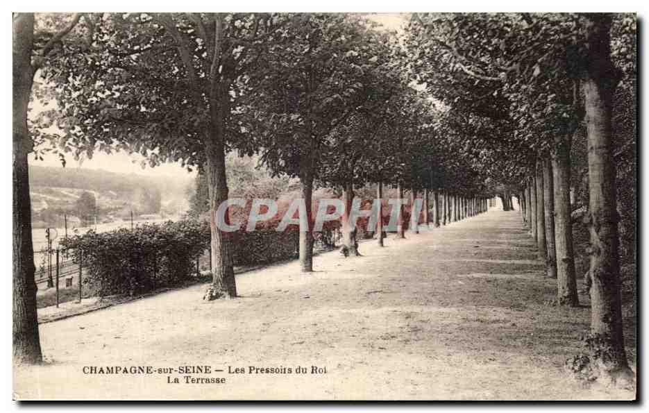 CPA Champagne Sur Seine Les Pressoirs du Roi La Terrasse 