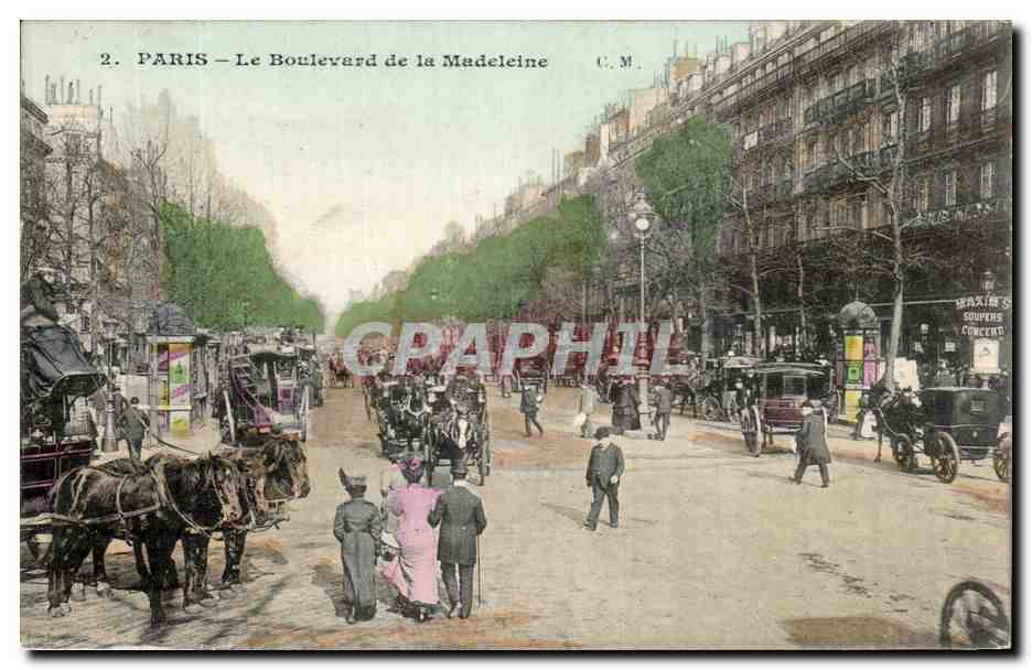 CPA Paris Le Boulevard de la Madeleine Chevaux