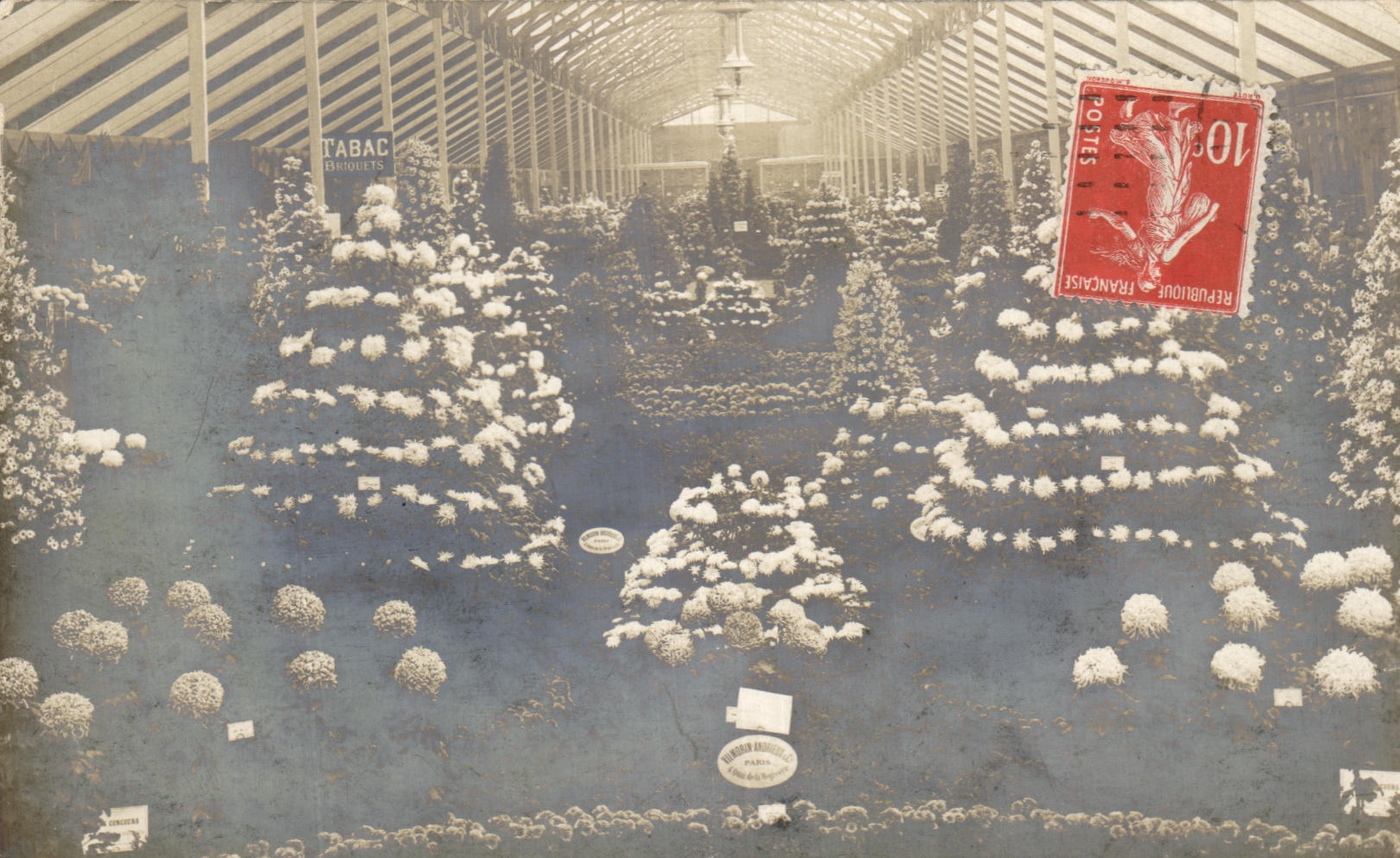CARTE PHOTO Exposition nationale d'horticulture Paris Vilmorin Andrieux