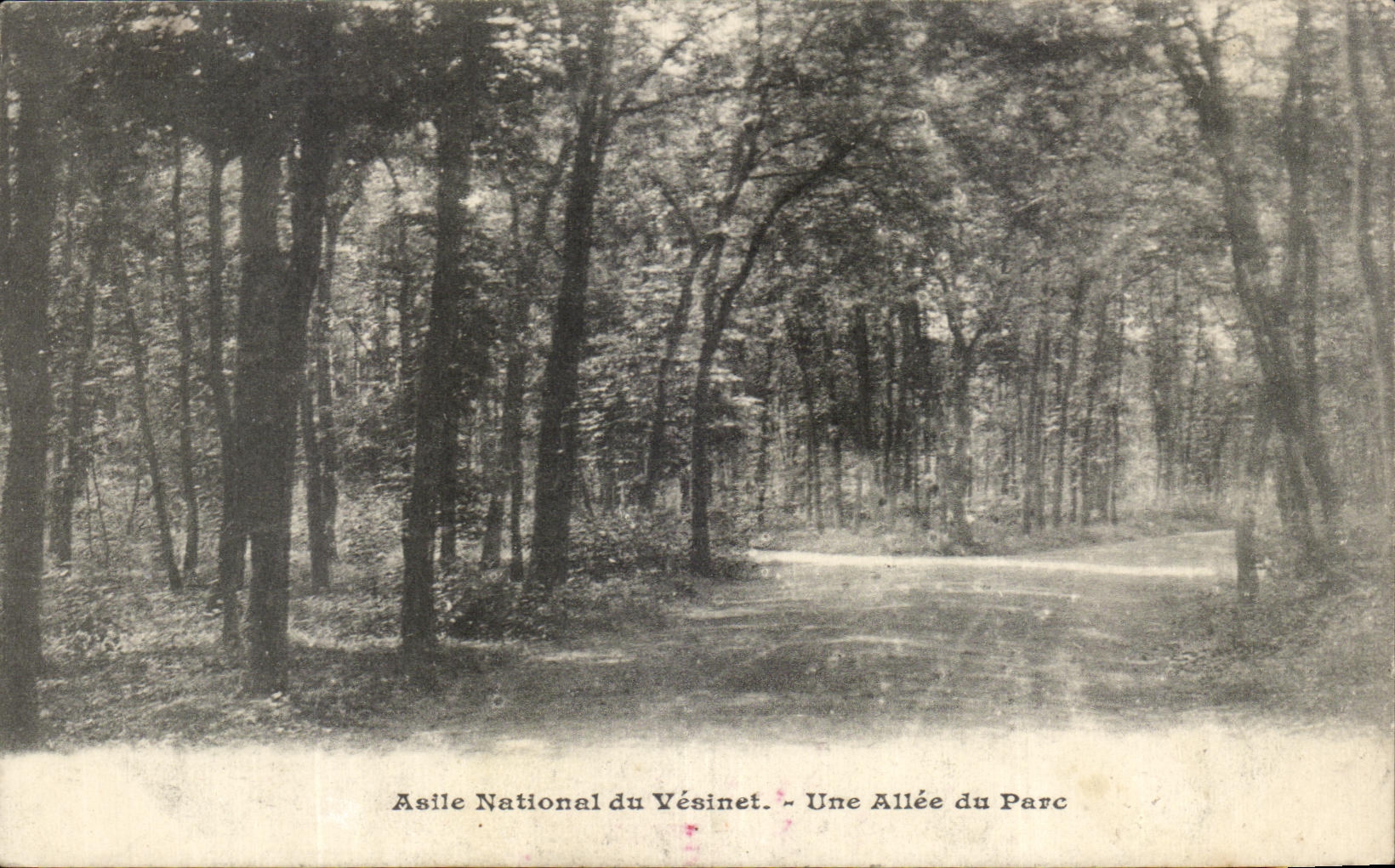CPA Asile Natinal du Vesinet Une Allee du Parc