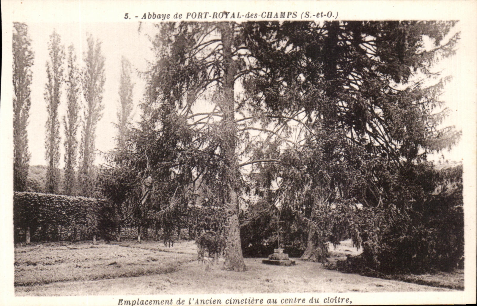 CPA Abbaye de Port Royal des Champs Emplacement de l'Ancien cimetiere au Centre du Cloitre