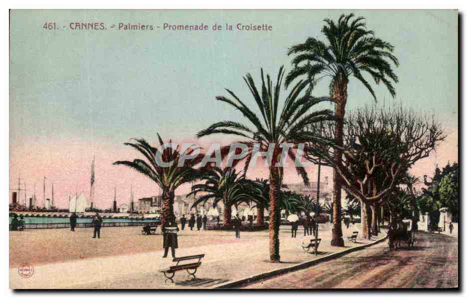 CPA Cannes Palmiers Promenade de la Croisette