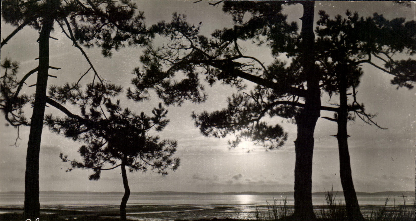 Coucher de soleil sur le Bassin d'Arcachon — Édition L. Chatagnau - Bordeaux, n°713