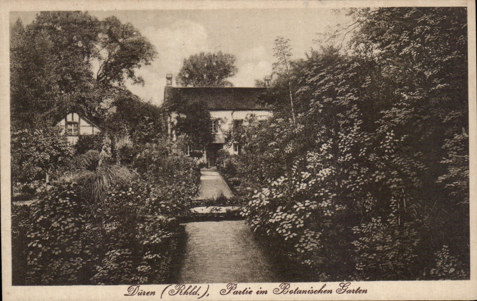 CPA Duren Partie In Botanischen Parten