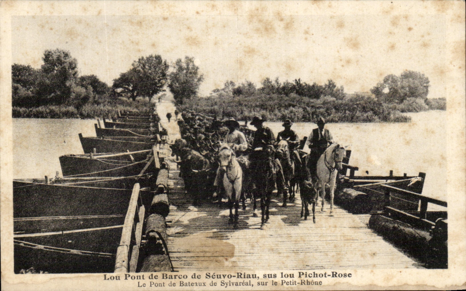 Le Pont de Bateaux de Sylvareal, sur le Petit-Rhône — Édition Espelly, Taba