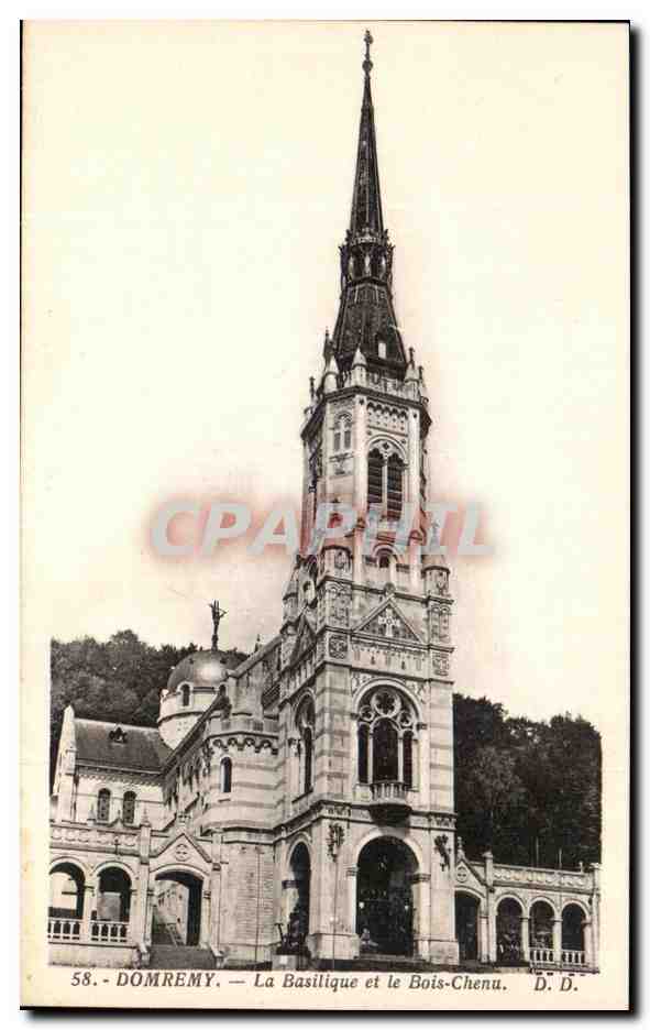 CPA Domremy La Basilique et le Bois Chenu