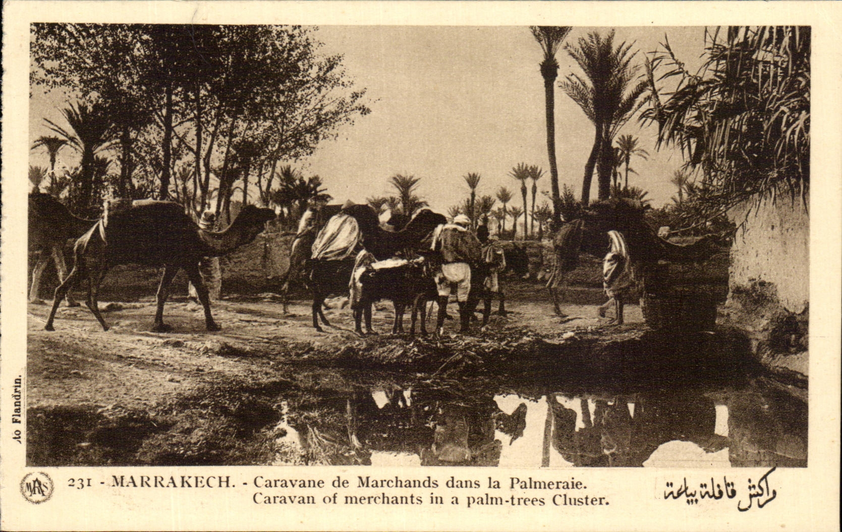 CPA Marrakech Caravane de Marchands dans la Palmeraie Caravan of merchants in a plam trees Cluster