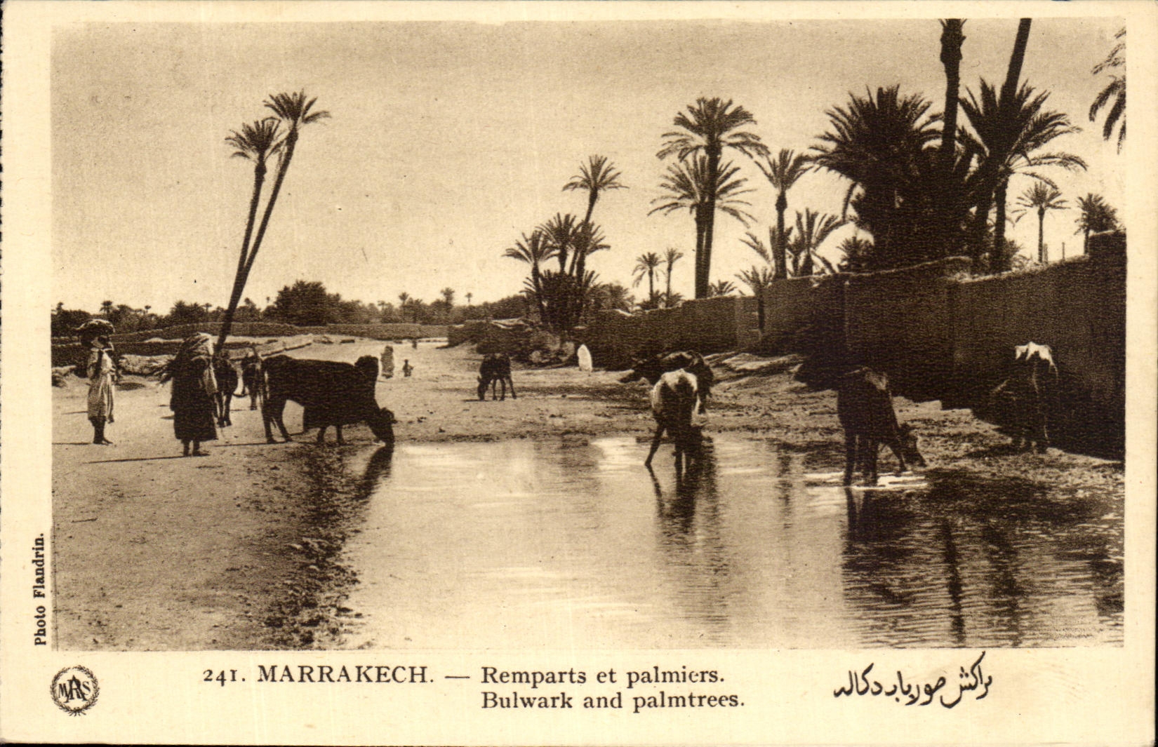 CPA Marrakech Remparts et Palmiers Maroc 