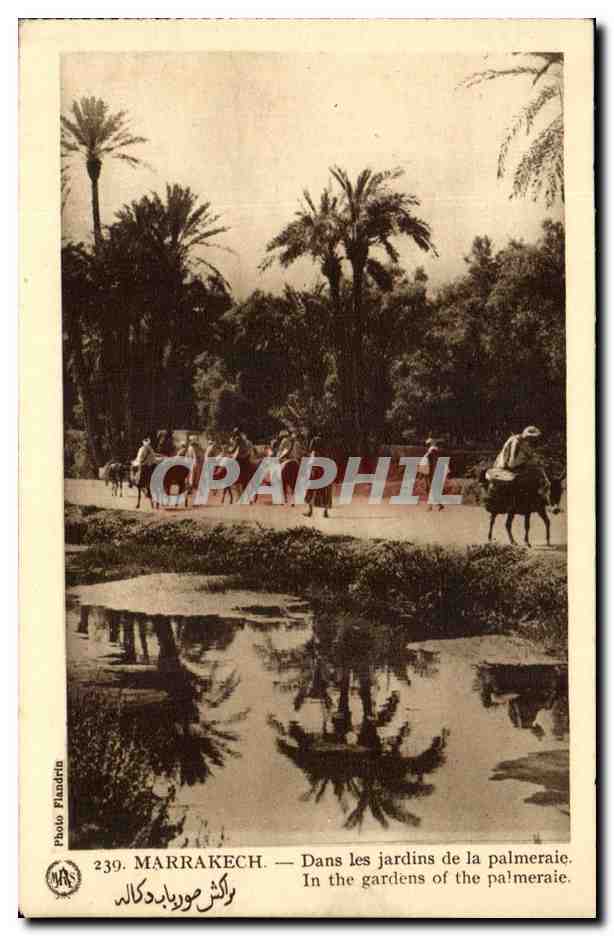 CPA Marrakech Dans les jardins de la Palmeraie Maroc