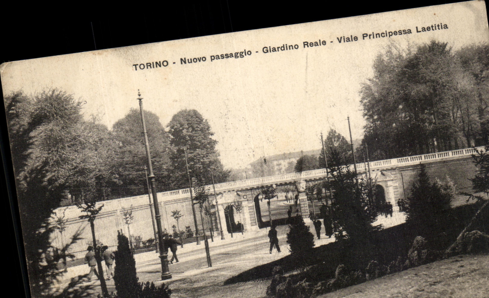 CPA Torino Nuovo Giardino Reale Viale Principale Laetitia