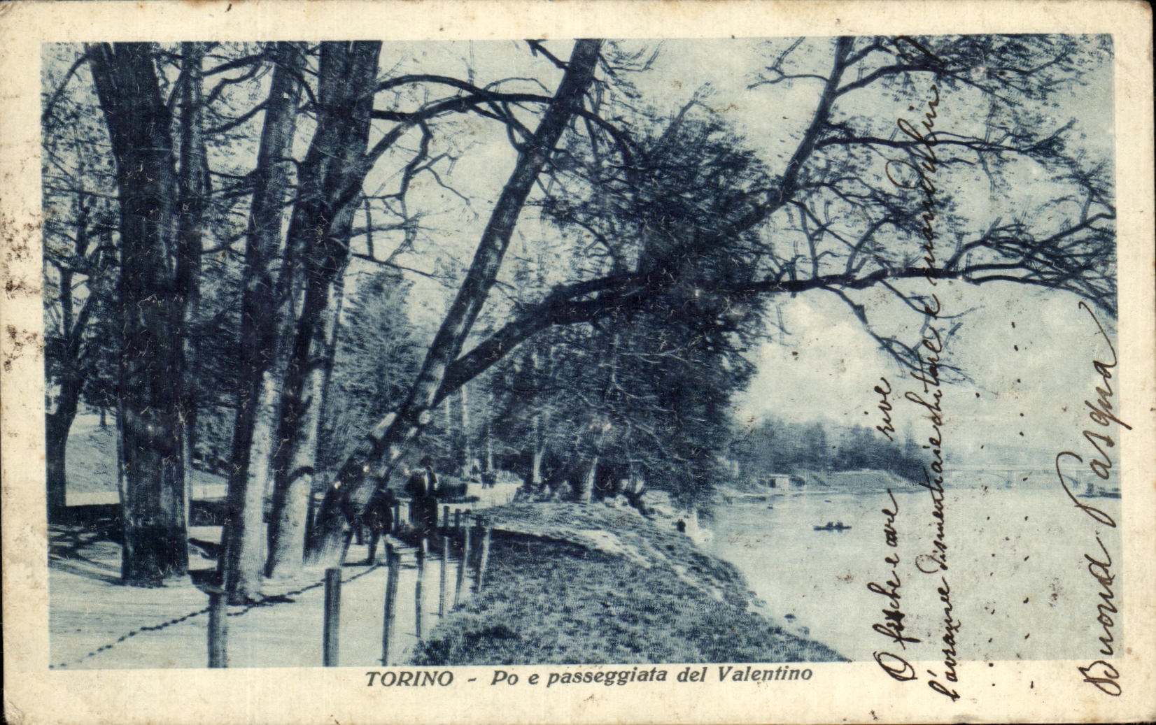 CPA Torino Po E Passeggiata Del Valentino
