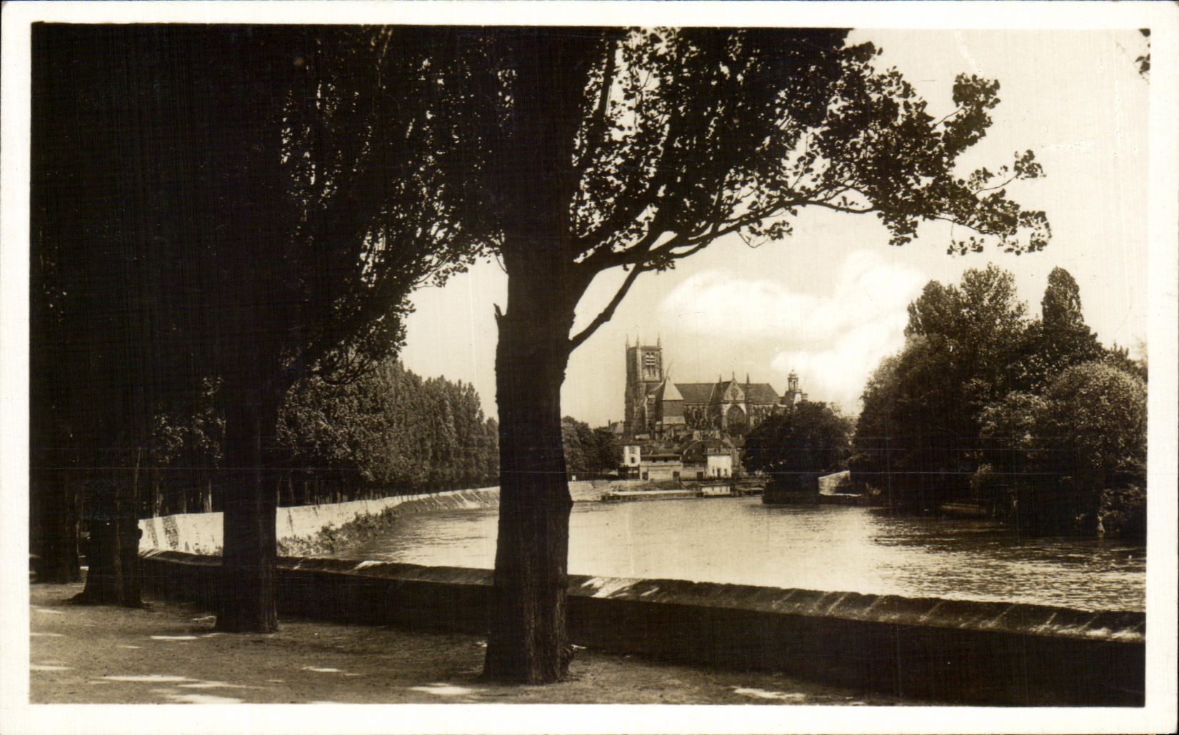Meaux — Promenades des Trinitaires, Ansicht der Marne und der Kathedrale — CPAPHIL