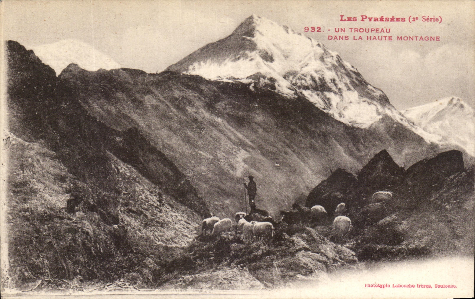 CPA Les Pyrenees Un Troupeau Dans La Haute Montagne Moutons