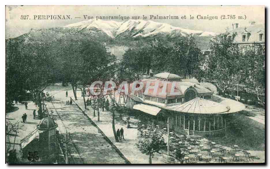 CPA Perpignan Vue Panoramique sur le Palmarium et le Canigou