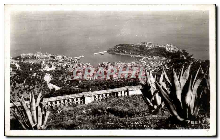CPA Principaute De Monaco Vue prise de la Turbie 