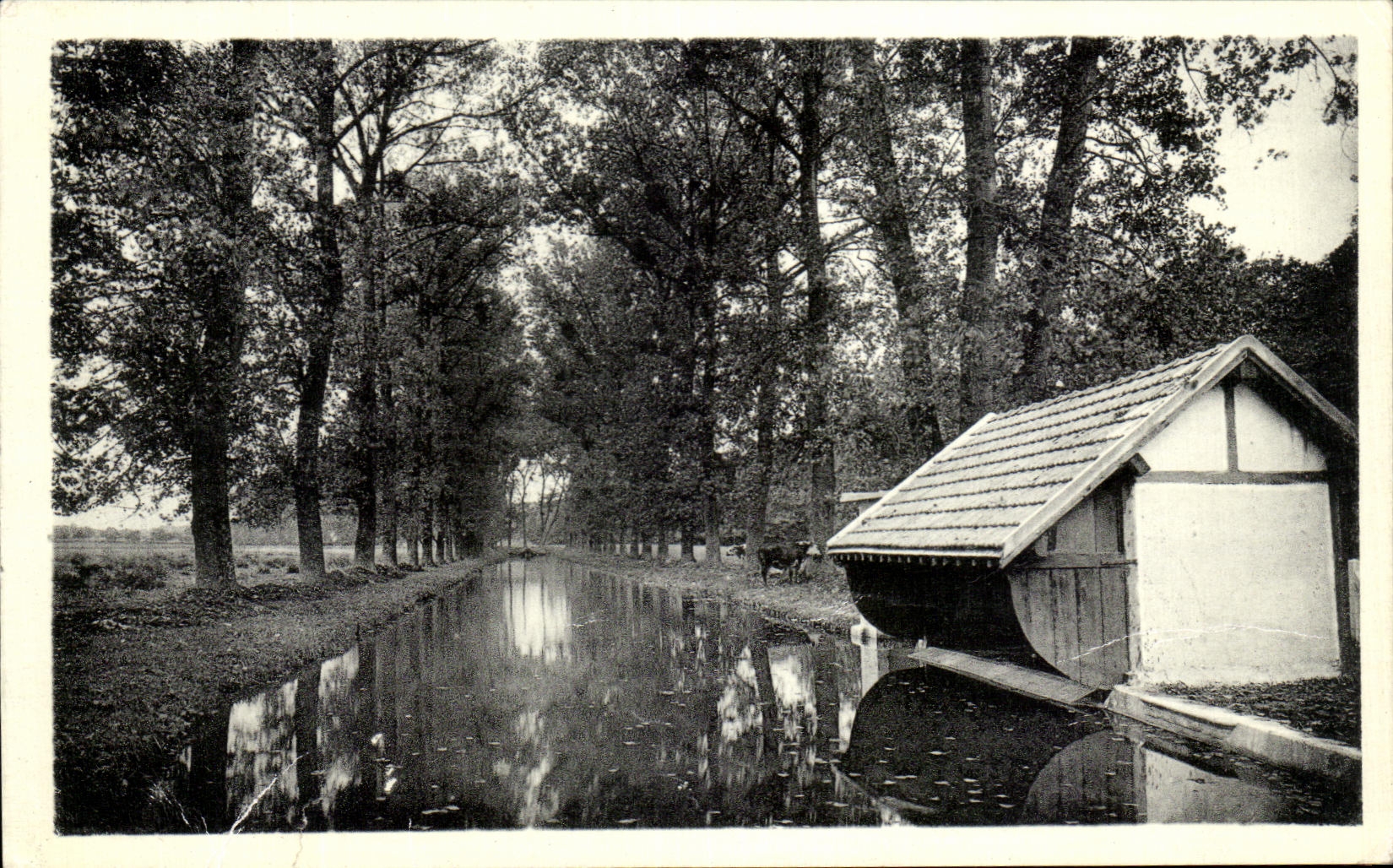 CPA Limours Les Canaux De Pivot Lavoir 