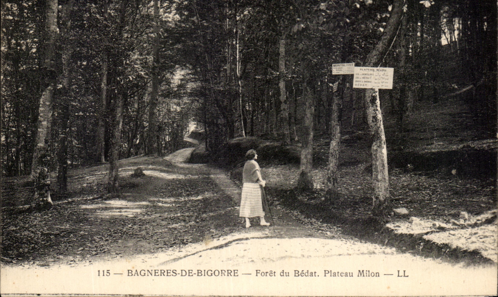 Bagnères-de-Bigorre — Forêt du Bédat. Plateau Milon — LL