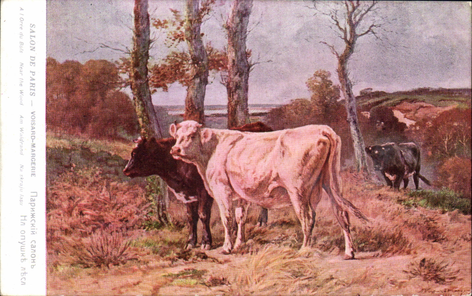 CPA Salon De Paris Voisard Margerie Vaches 