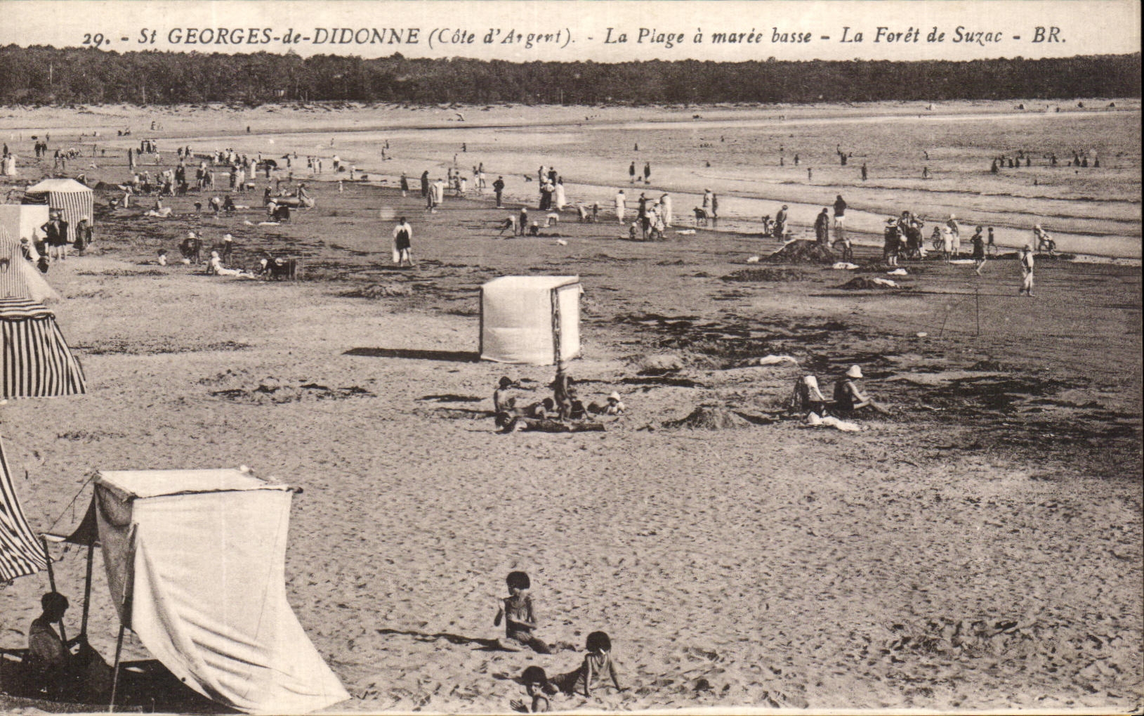 CPA St Georges de Didonne La Plage a maree basse La Foret de Suzac