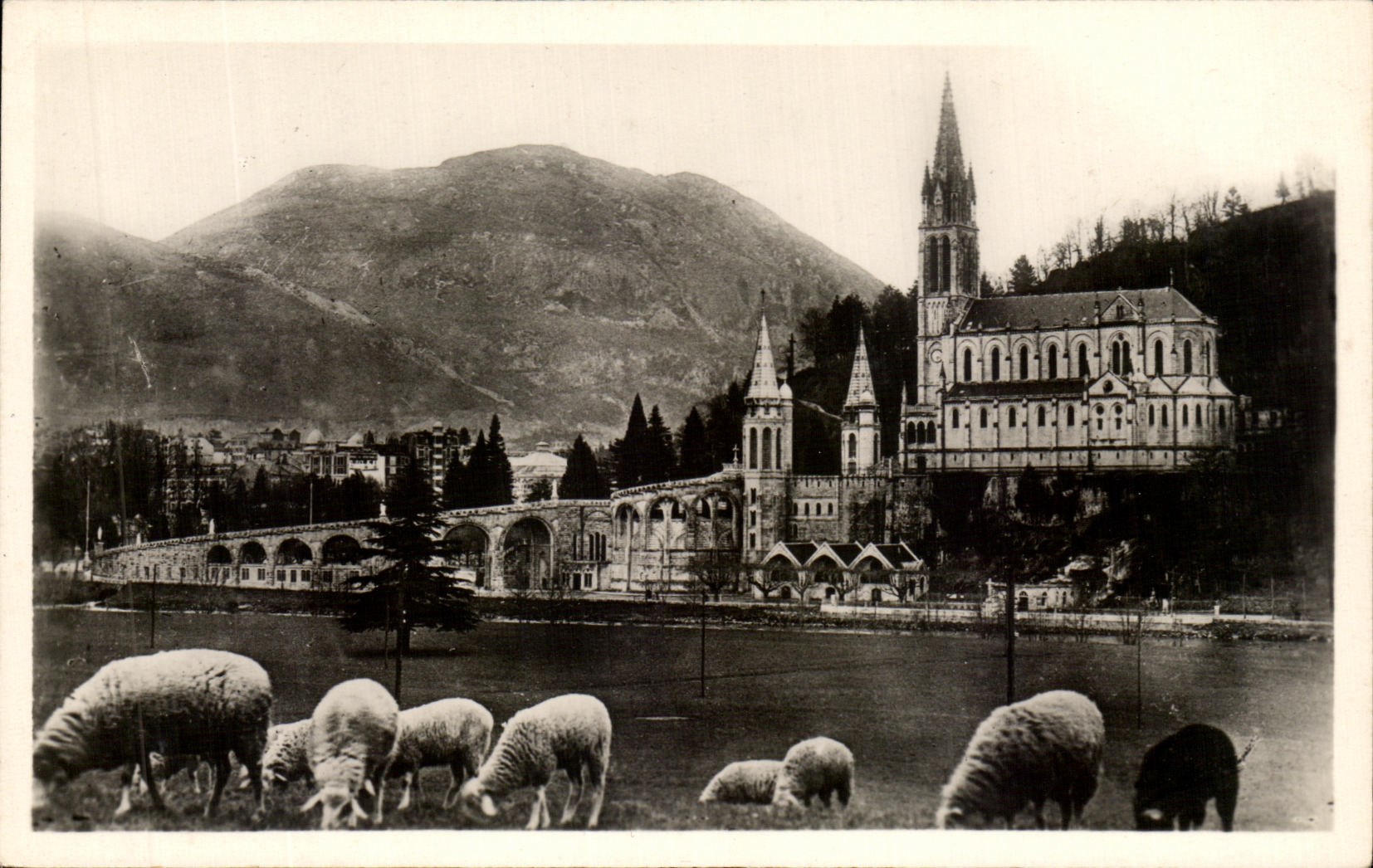 CPA Lourdes La Basilique Et Le Pic du jer Moutons