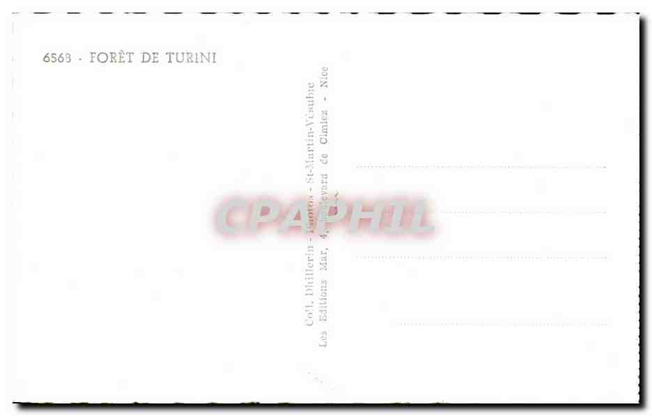 CPA Foret De Turini — Rückseite
