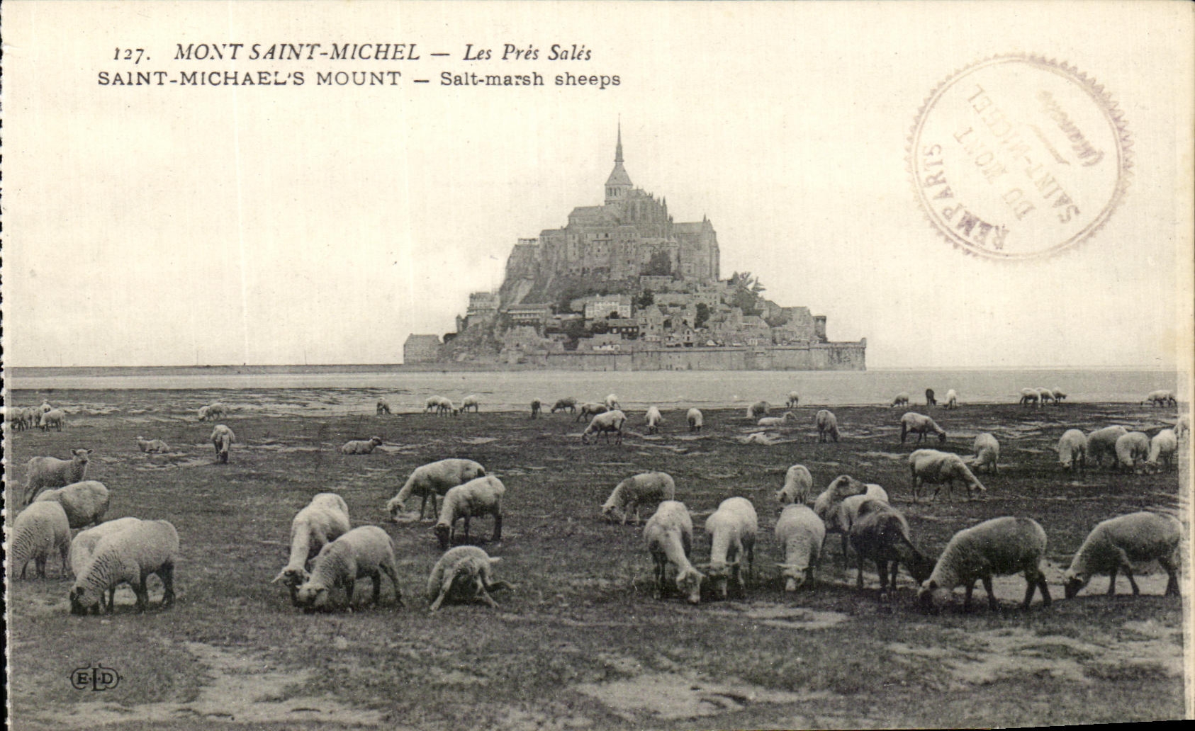 CPA Mont Saint Michel Les Pres Sales Moutons