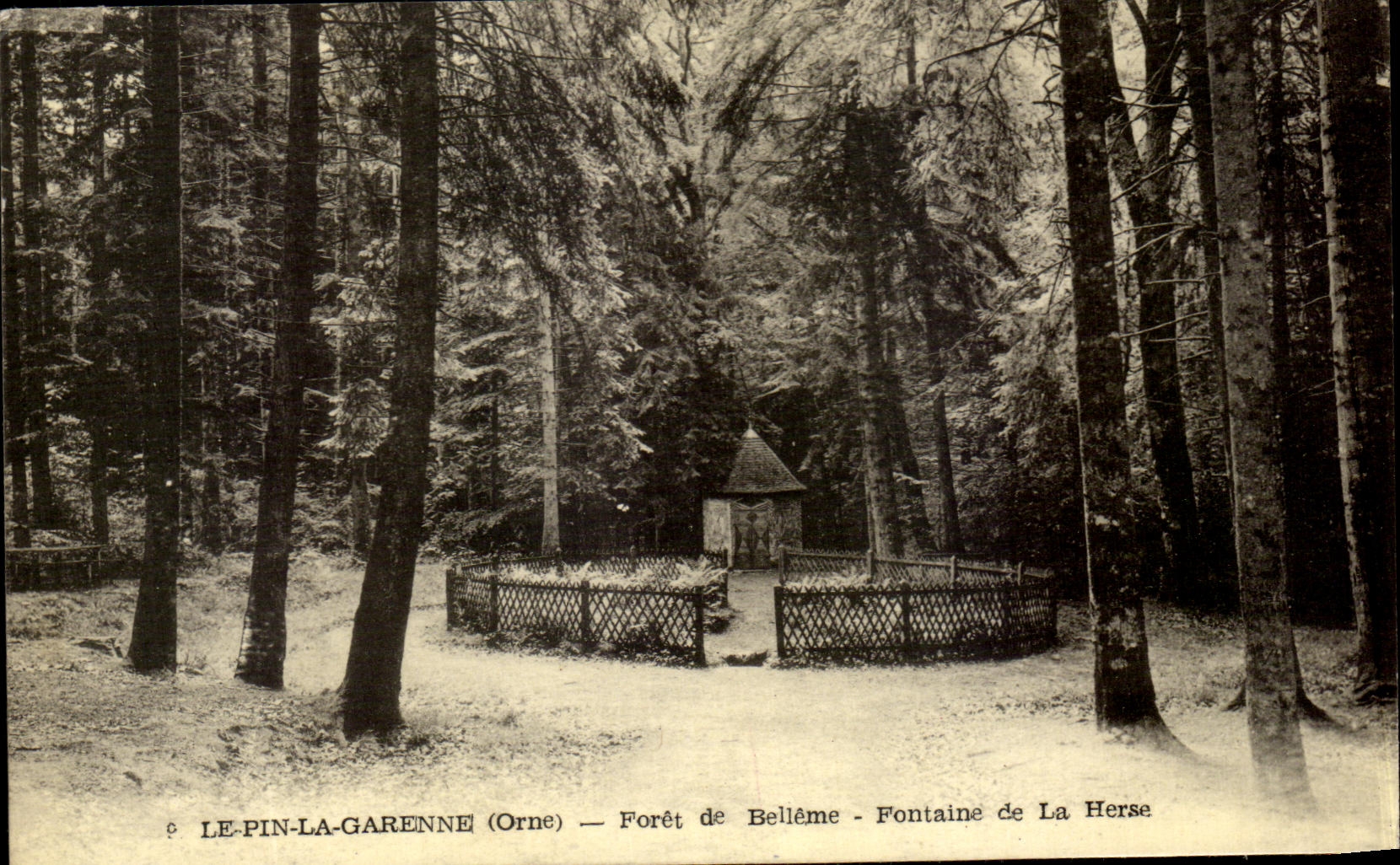 CPA Le Pin Garenne Foret de Belleme Fontaine De La Herse 