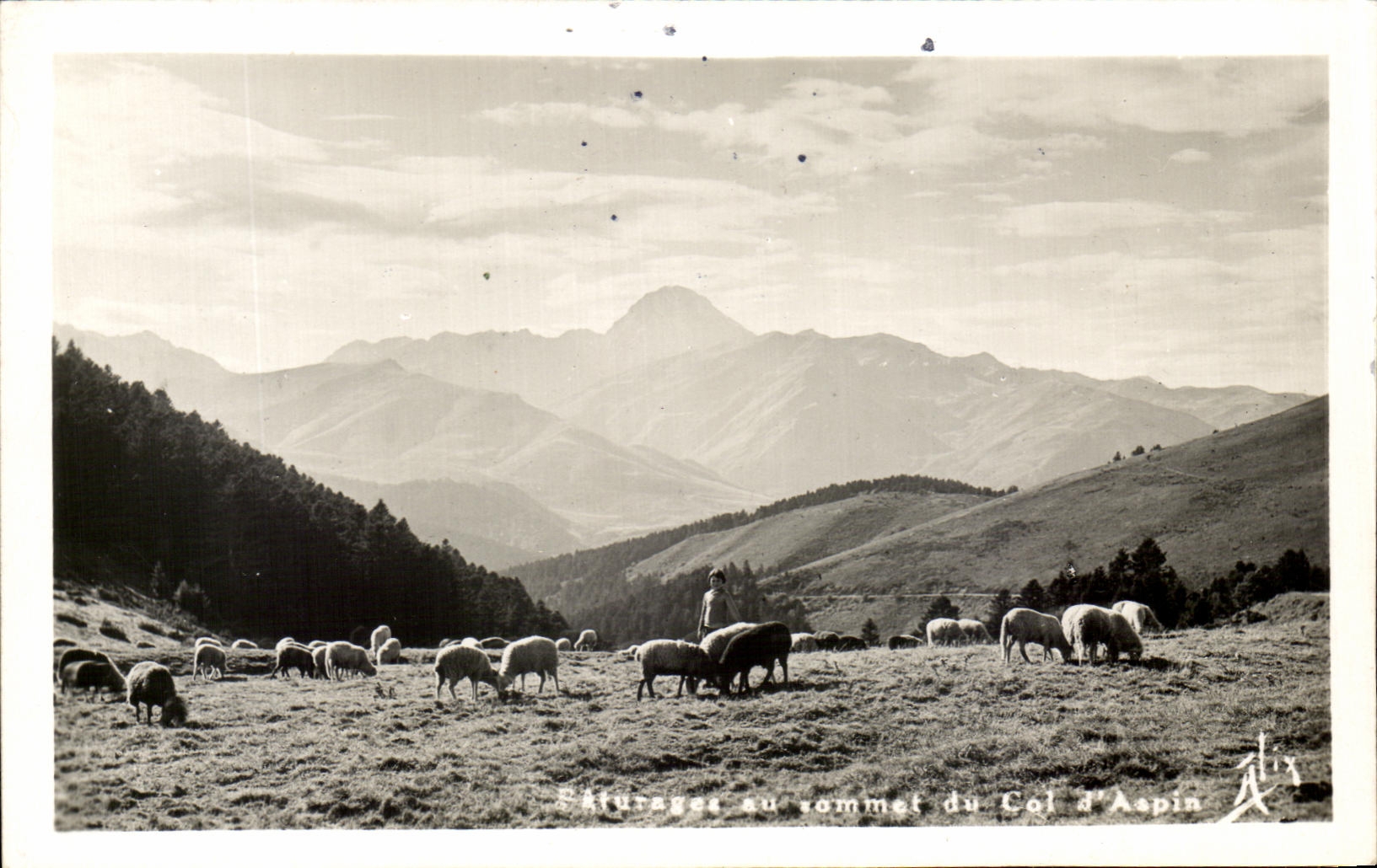 Pâturages au sommet du Col d'Aspin — Les Pyrénées — Éditions Alix, Bagnères-de-Bigorre, N° 401