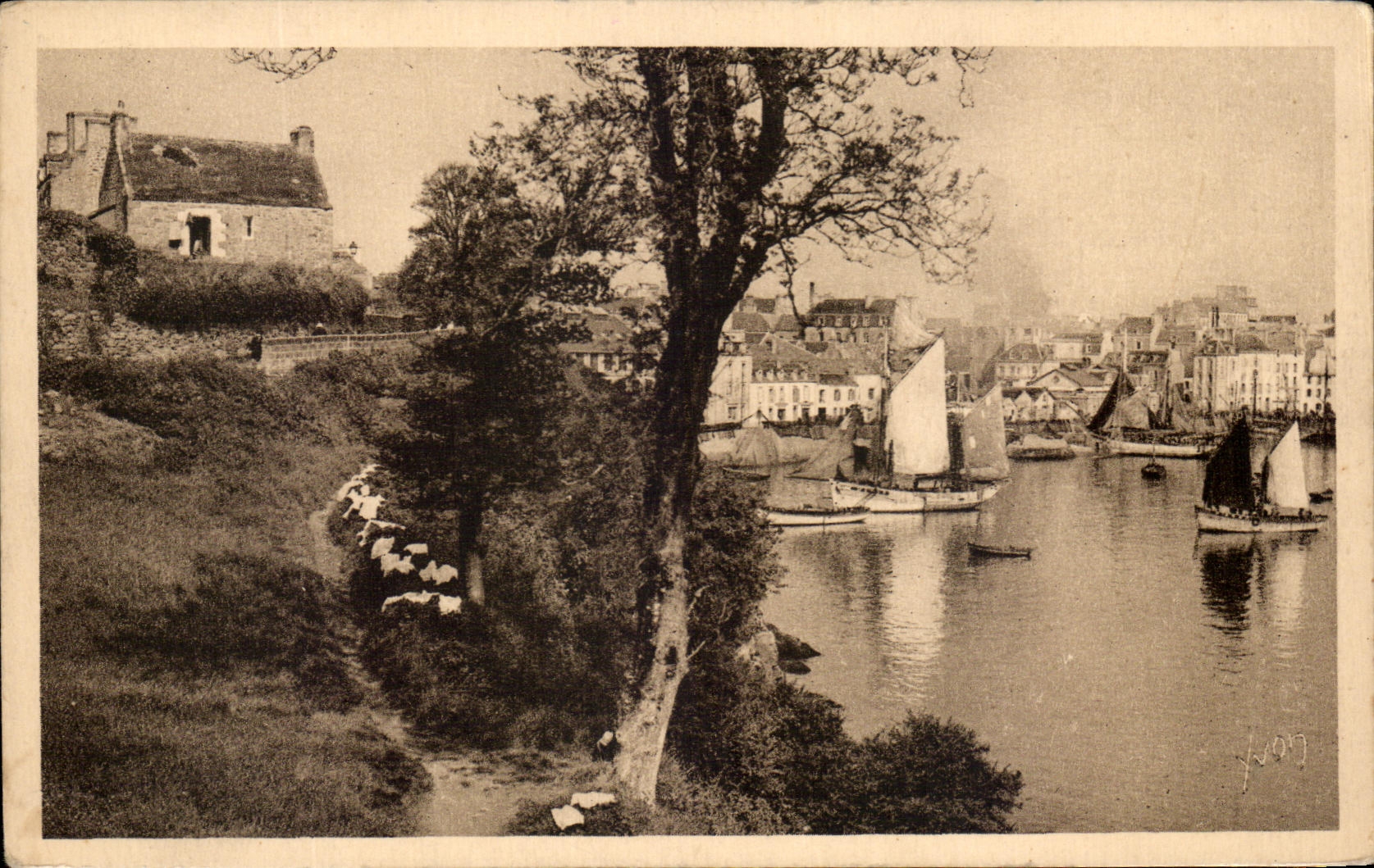 CPA Douarnenez Le port Et le Coteau de Plomarc h Bateaux