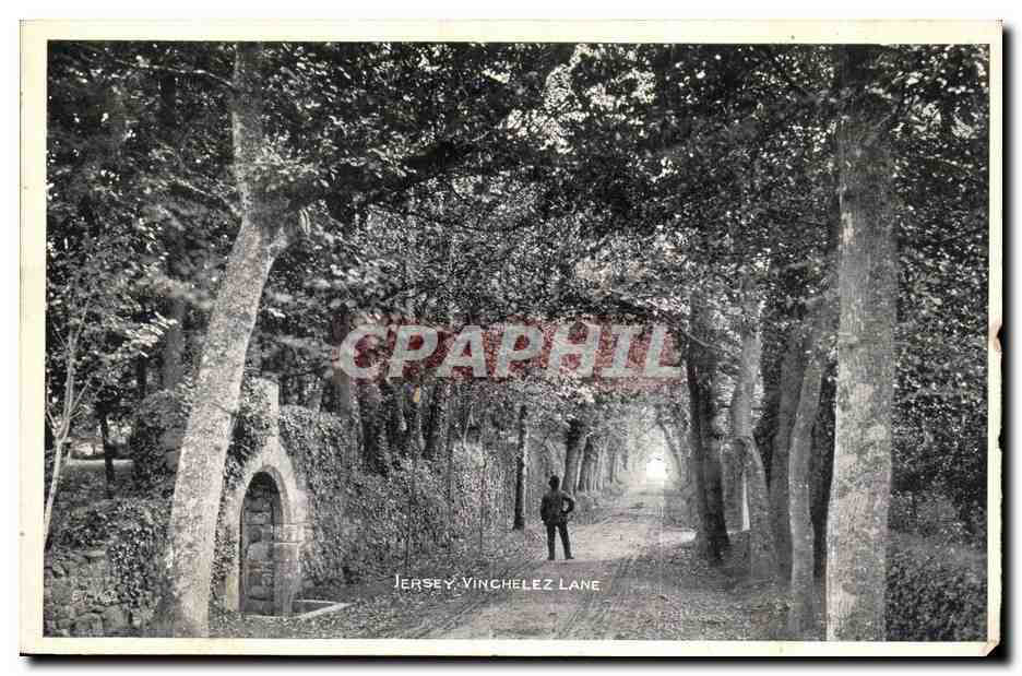 CPA Jersey Portelet Bay Vinchelez lane  — Rückseite