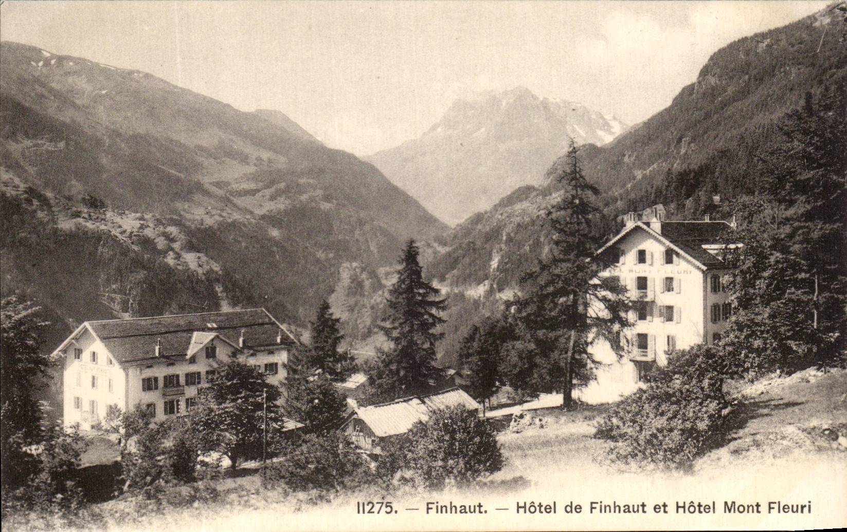 CPA Finhaut Hotel de Finhaut Et Hotel Mont Fleuri