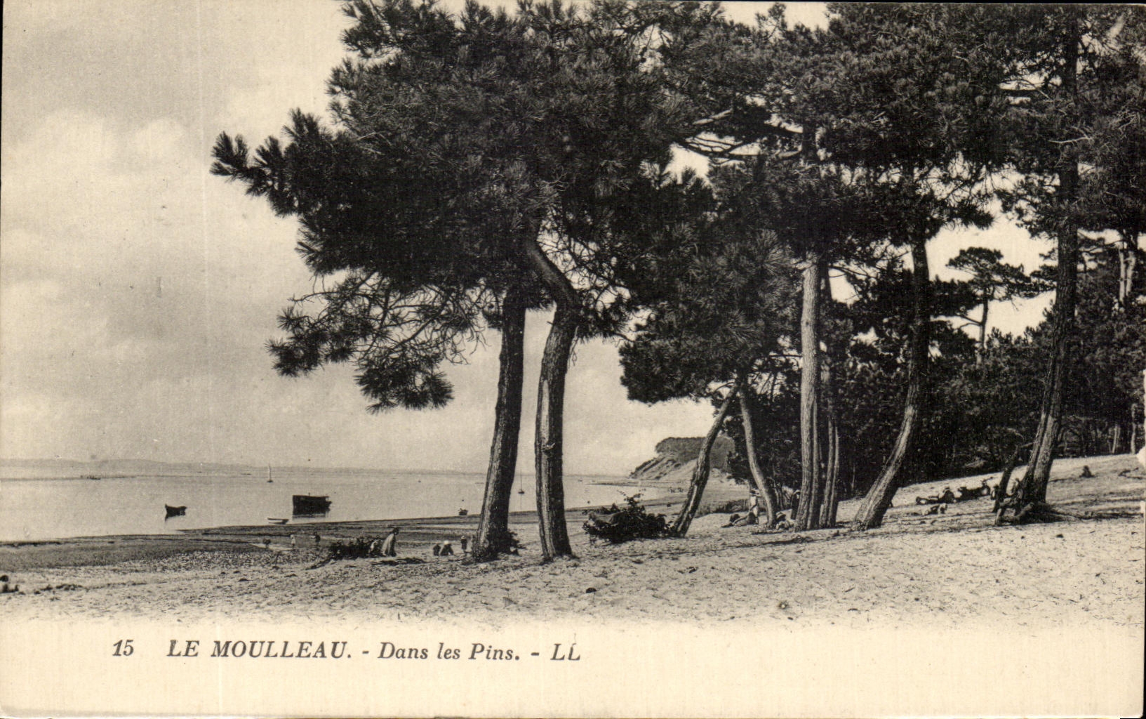 CPA Le Moulleau Dans Les Pins 