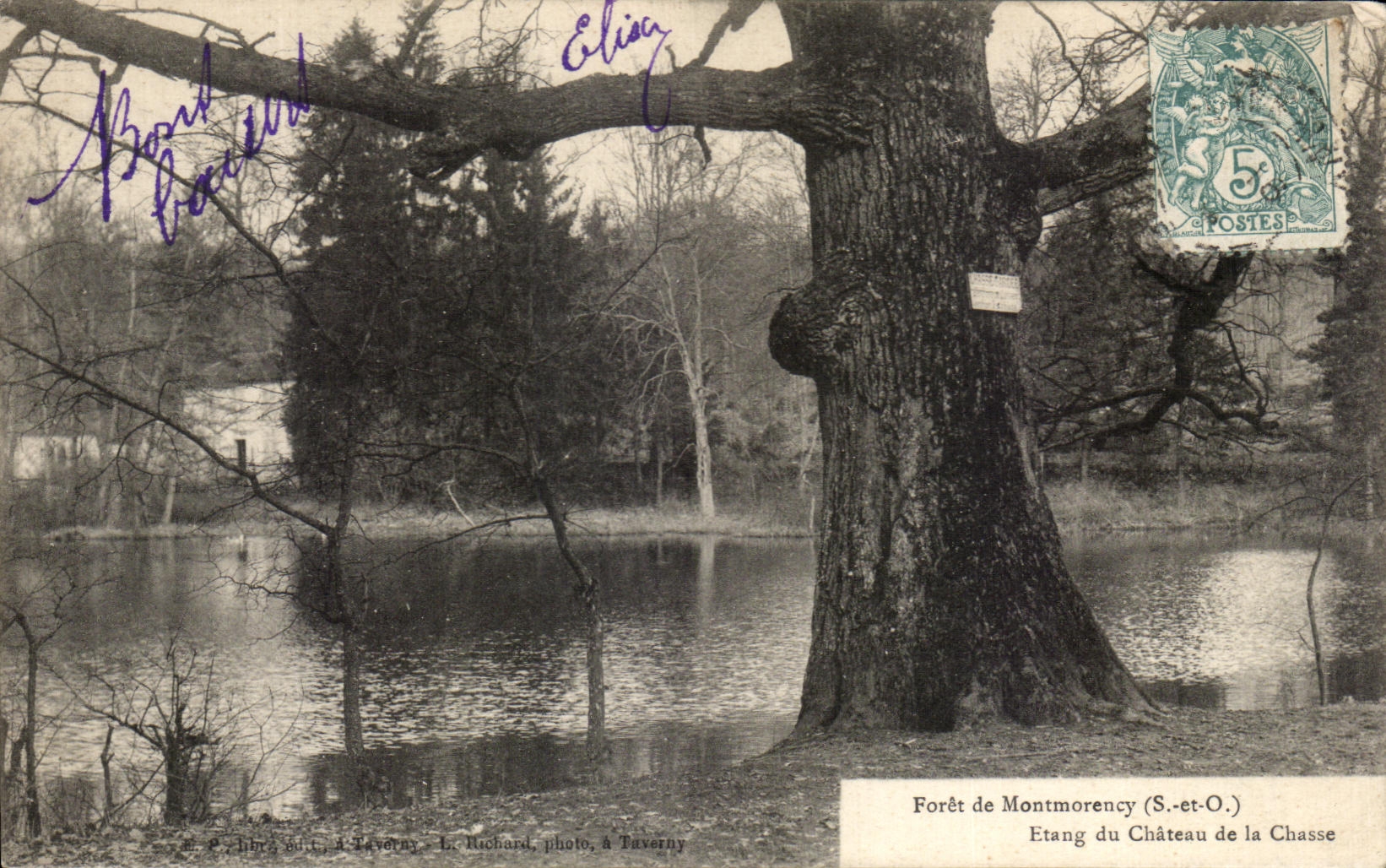 Forêt de Montmorency — Etang du Château de la Chasse — L. Ruchard, photo, à Taverny
