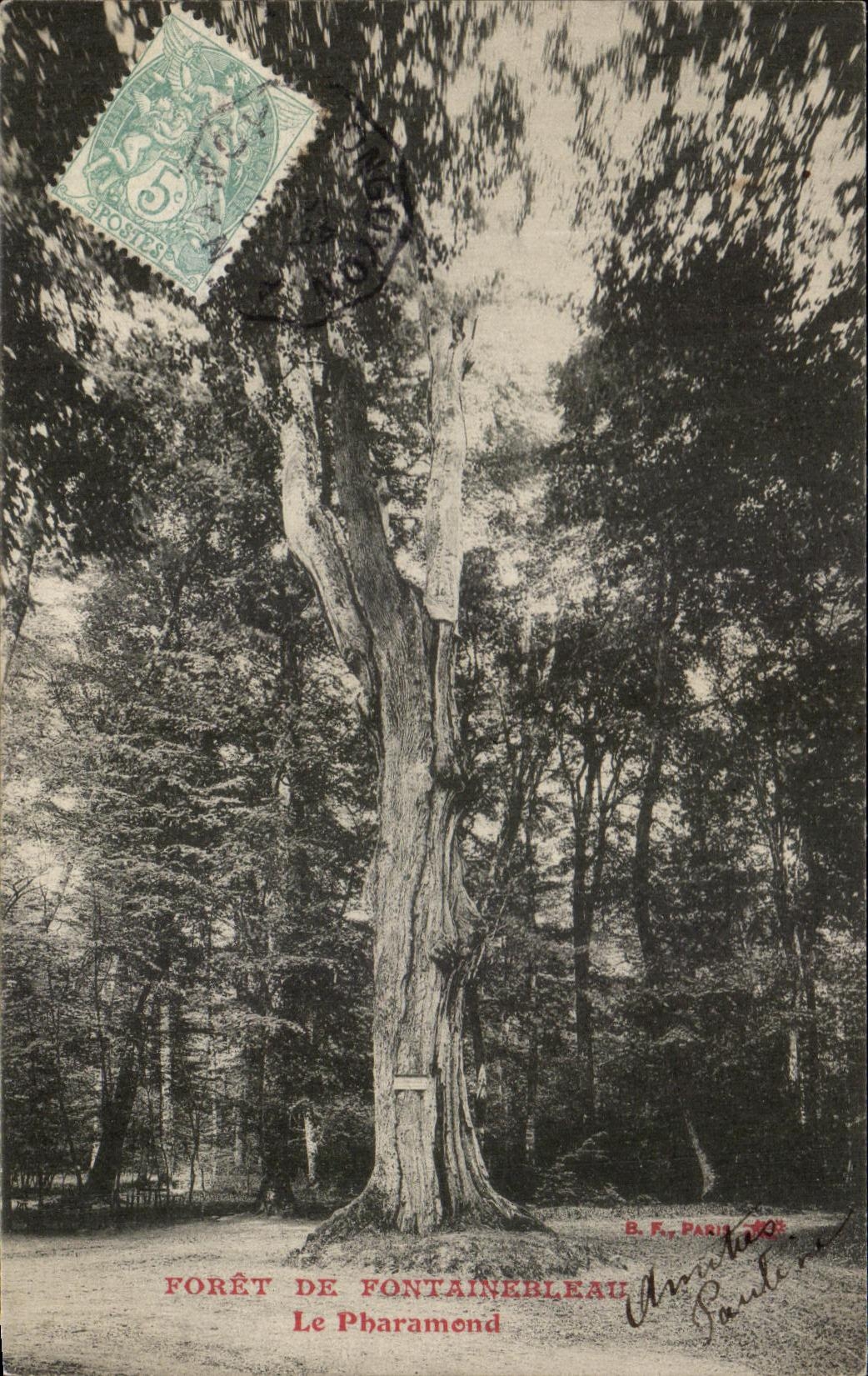 Foresta di Fontainebleau — Le Pharamend — B.F. Parigi 100