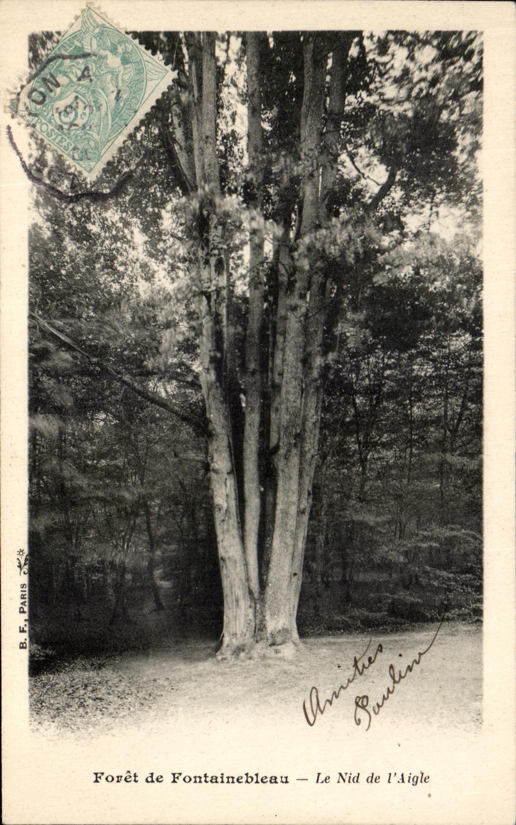 Foresta di Fontainebleau — Il Nido dell'Aquila — B.F. Parigi