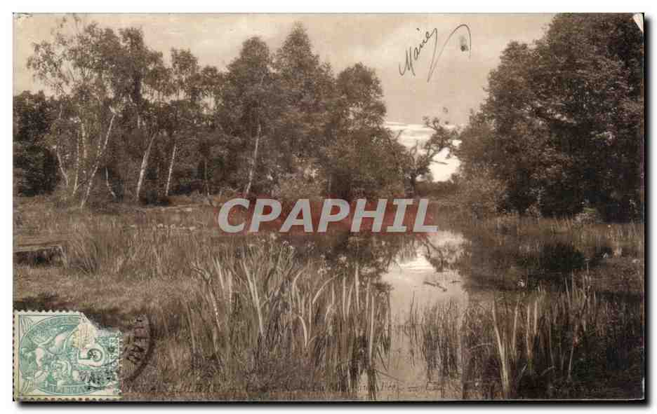 La Mare aux Fées — Fontainebleau — Cartolina Postale di Lusso