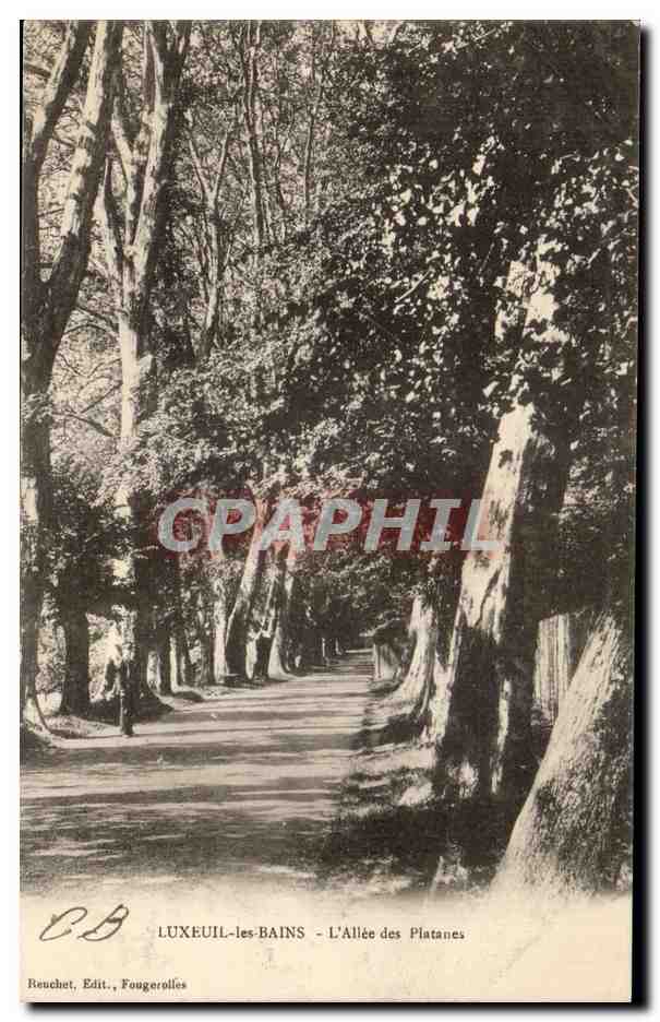 CPA Luxeuil Les Bains L Allee des Platanes