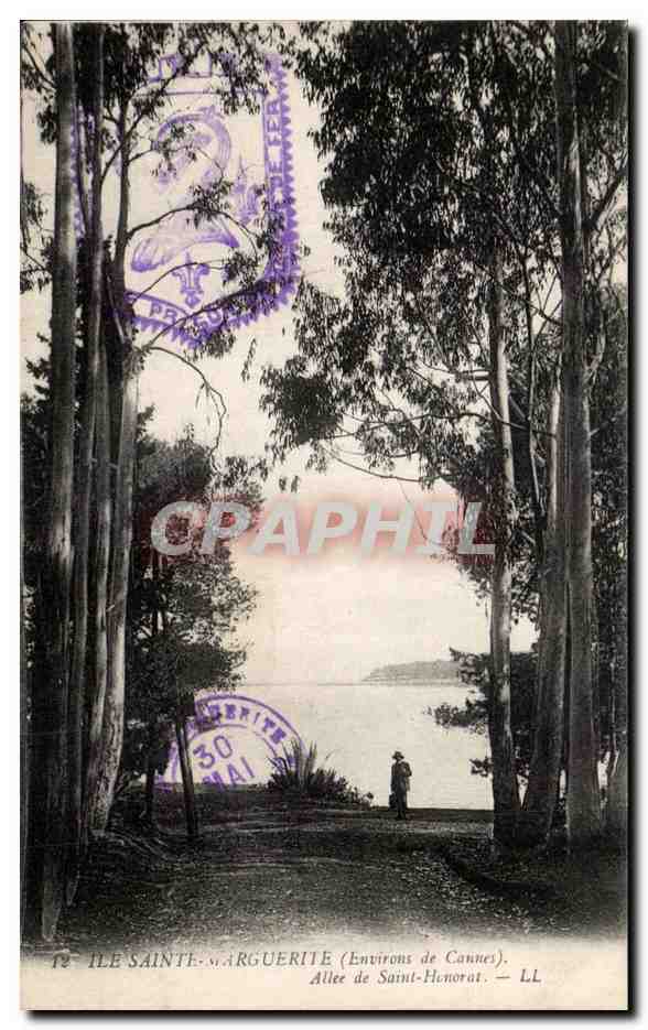 CPA Ile Sainte Marguerite Environs de Cannes Allee de Saint Honorat