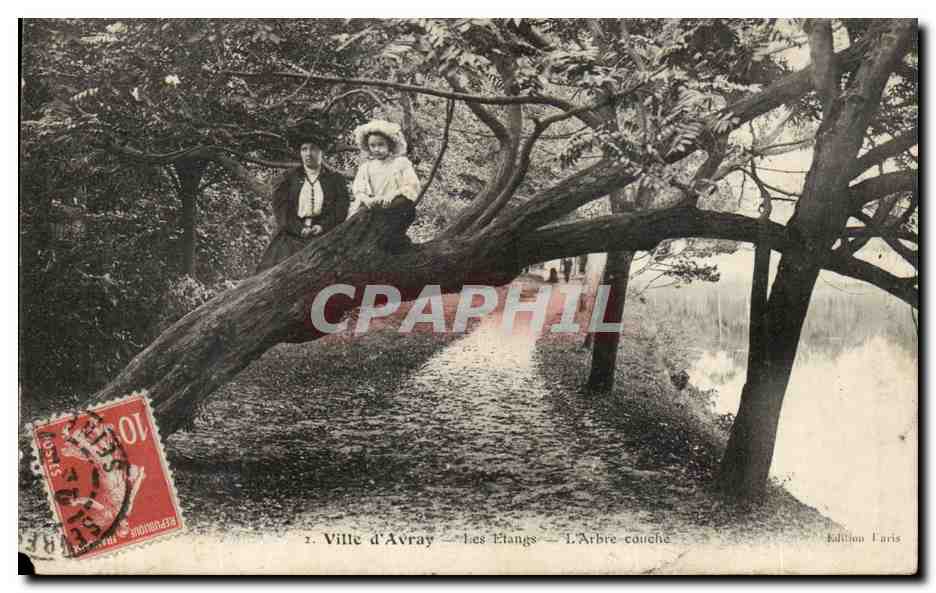 CPA Ville d Avray Les Etangs L Arbre couche